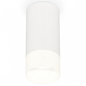 Накладной светильник Ambrella Light XS XS8161003