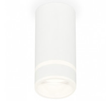 Накладной светильник Ambrella Light XS XS8161005