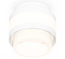 Накладной светильник Ambrella Light XS XS8418001