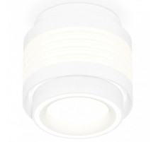 Накладной светильник Ambrella Light XS XS8431002