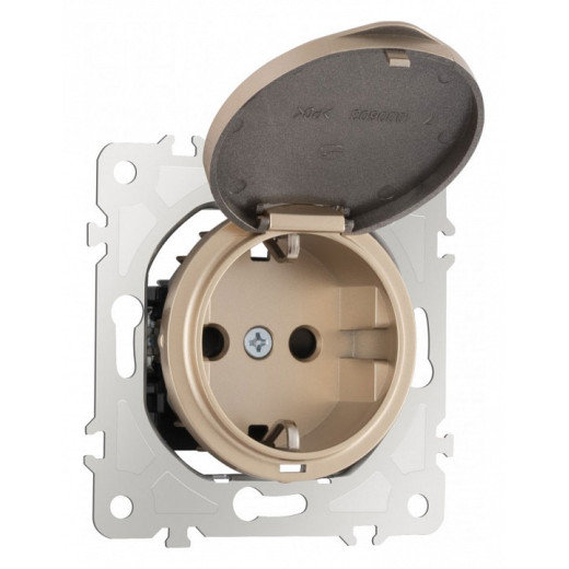 Розетка влагозащищенная с заземлением и со шторкой с крышкой Arte Milano am-202 202.41-1.shampan