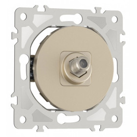 ТВ-розетка без рамки Arte Milano am-202 202.42-1.shampan