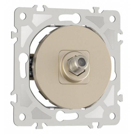 ТВ-розетка без рамки Arte Milano am-202 202.42-1.shampan