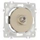 ТВ-розетка без рамки Arte Milano am-202 202.42-1.shampan
