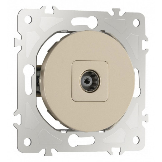 ТВ-розетка без рамки Arte Milano am-202 202.43-1.shampan