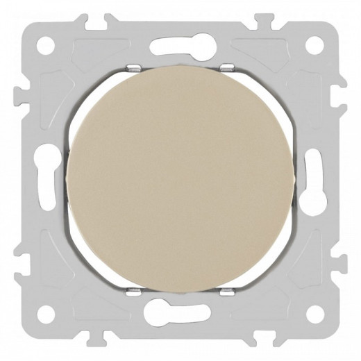 Заглушка для поста, без рамки Arte Milano am-202 202.50-1.shampan