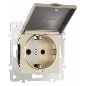 Розетка влагозащищенная с заземлением и со шторкой с крышкой Arte Milano am-203 203.41-1.shampan