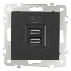 Розетка USB, без рамки Arte Milano am-206 206.46-1.black