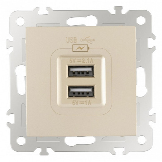 Розетка USB, без рамки Arte Milano am-206 206.46-1.shampan