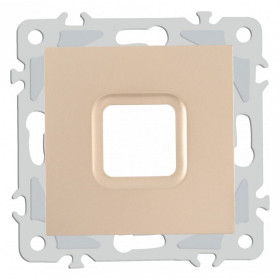 Розетка для вывод кабеля без рамки Arte Milano am-206 206.49-1.shampan