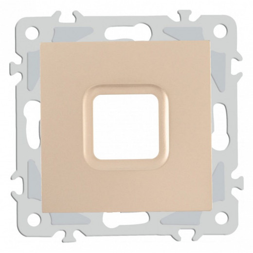 Розетка для вывод кабеля без рамки Arte Milano am-206 206.49-1.shampan