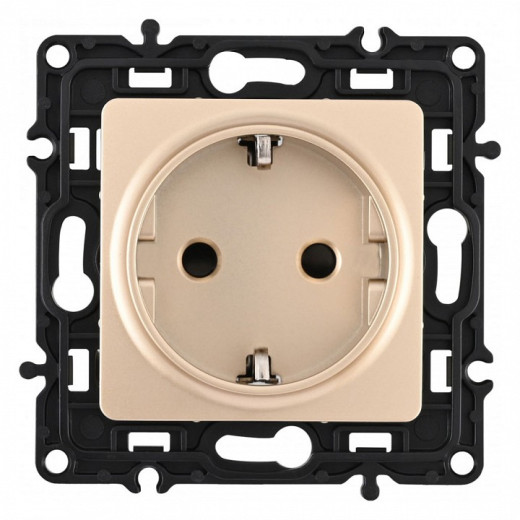 Розетка с заземлением и со шторкой, без рамки Arte Milano am-217 217.40-1.shampan