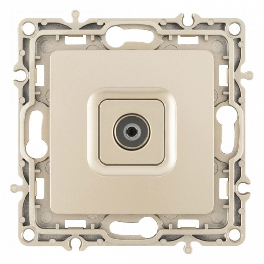 ТВ-розетка без рамки Arte Milano am-217 217.43-1.shampan