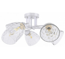 Потолочная люстра Arte Milano Napoli-6820 338756/5 WT+SL