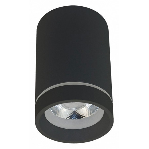 Накладной светильник Aployt Edda APL.0053.19.10