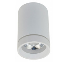 Накладной светильник Aployt Edda APL.0054.09.10