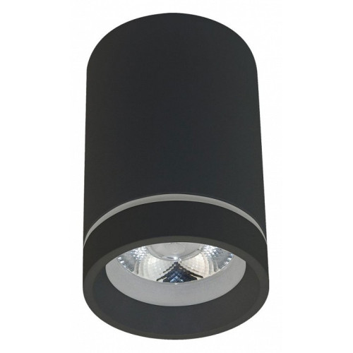 Накладной светильник Aployt Edda APL.0054.19.10