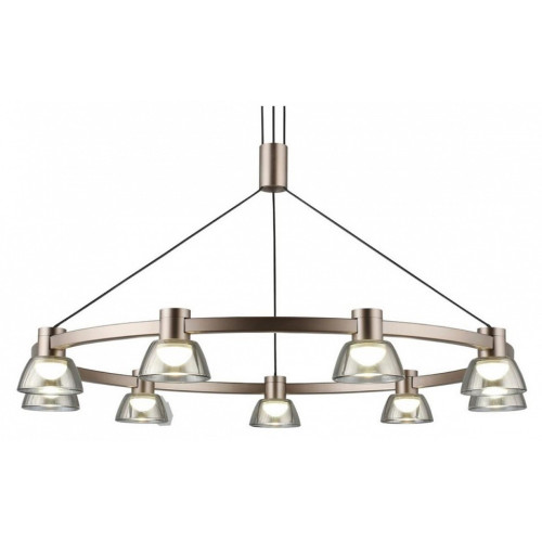 Подвесная люстра Aployt Rezeda APL.788.03.09