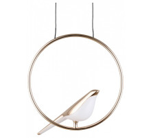 Подвесной светильник Aployt Astor APL.822.06.10