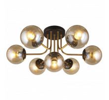Потолочная люстра Aployt Ewka APL.906.07.07