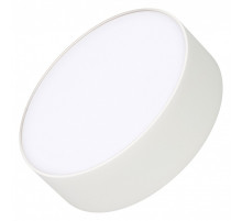 Накладной светильник Arlight RONDO 021777(2)