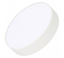 Накладной светильник Arlight RONDO 022232(2)