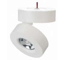 Светильник на штанге Arlight MONA 025439(1)