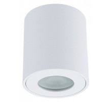Накладной светильник Arte Lamp Tino A1469PL-1WH