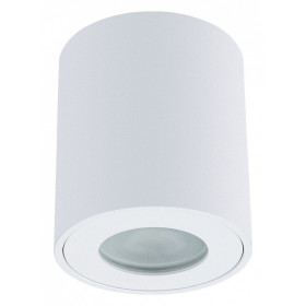 Накладной светильник Arte Lamp Tino A1469PL-1WH