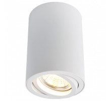 Накладной светильник Arte Lamp Sentry A1560PL-1WH