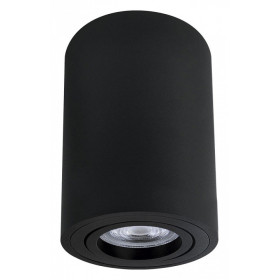 Накладной светильник Arte Lamp Sentry A1566PL-1BK