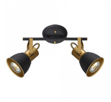 Спот Arte Lamp Jovi A1677PL-2GO