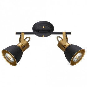 Спот Arte Lamp Jovi A1677PL-2GO