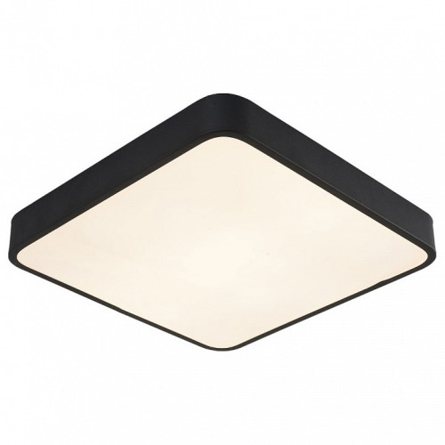 Накладной светильник Arte Lamp Scena A2663PL-1BK