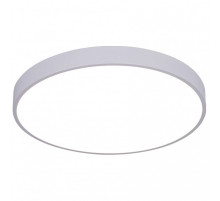 Накладной светильник Arte Lamp Arena A2670PL-1WH