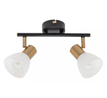 Спот Arte Lamp Falena A3117PL-2BK