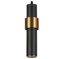 Подвесной светильник Arte Lamp Ran A3144SP-1BK