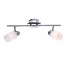 Спот Arte Lamp Cavalletta A4510PL-2SS