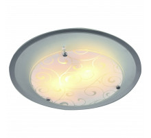 Накладной светильник Arte Lamp Ariel A4806PL-1CC