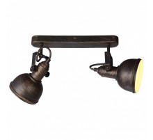 Спот Arte Lamp Martin A5213AP-2BR