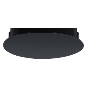 Накладной светильник Arte Lamp Rapid A6163PL-1BK