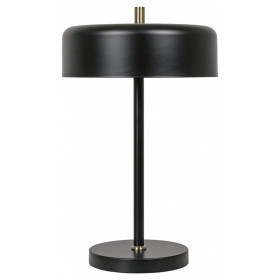 Настольная лампа декоративная Arte Lamp Skat A7052LT-2BK