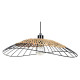 Подвесной светильник Arte Lamp Woodstock A7061SP-1BK