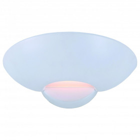 Накладной светильник Arte Lamp Interior A7118AP-1WH