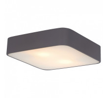 Накладной светильник Arte Lamp Cosmopolitan A7210PL-2BK