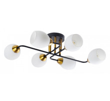 Потолочная люстра Arte Lamp Andrea A8141PL-6BK