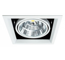 Встраиваемый светильник Arte Lamp Merga A8450PL-1WH
