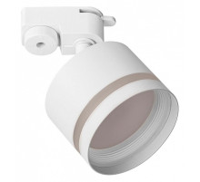 Светильник на штанге Citilux Hardy CL002T10