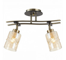 Спот Citilux Мерида CL142124