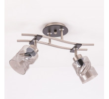 Спот Citilux Мерида CL142125